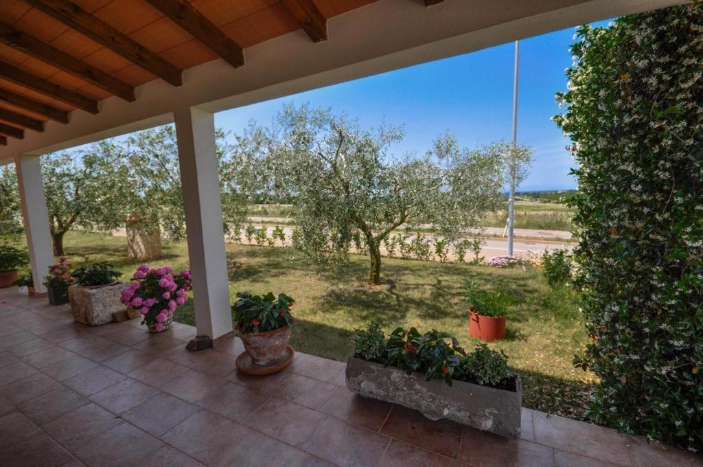 Apartamento Angela Novigrad Istria Exterior foto