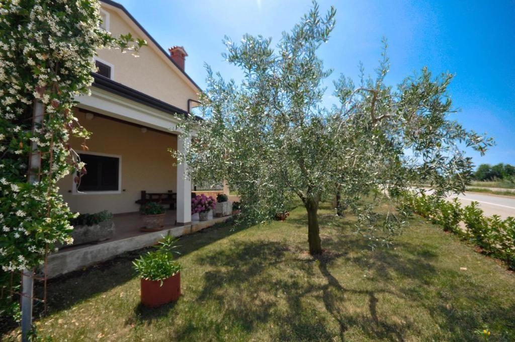 Apartamento Angela Novigrad Istria Exterior foto